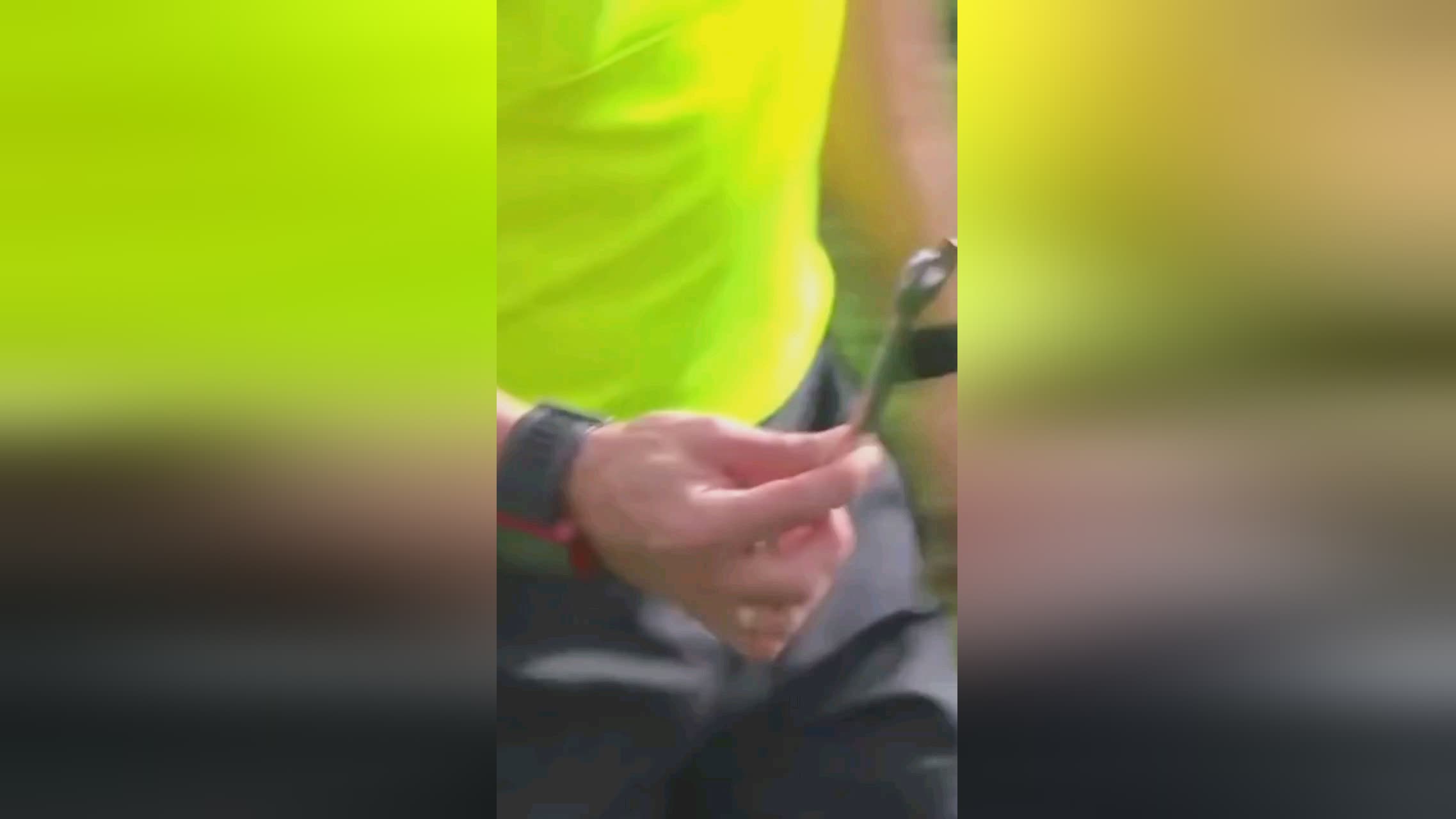 征意义
